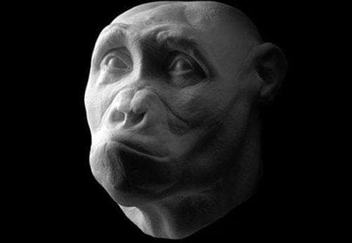 700万年前的萨赫勒人：人类最古老的祖先？