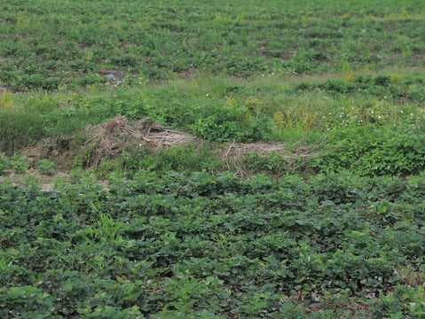 土地纠纷归公安局管吗