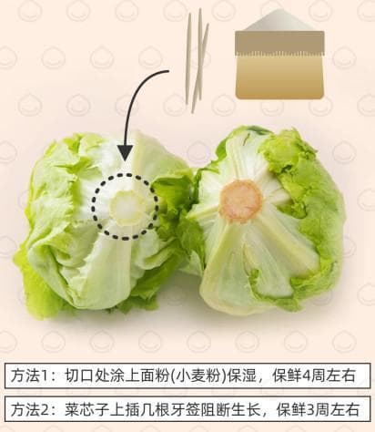 实用！这些蔬菜储存方法让你的蔬菜保鲜三个月