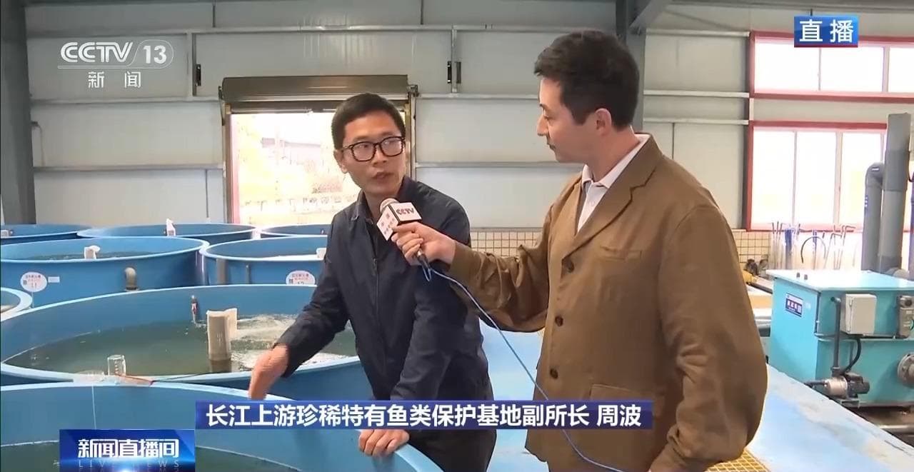 直击长江鲟人工繁育现场 户外产房化身“月子中心”