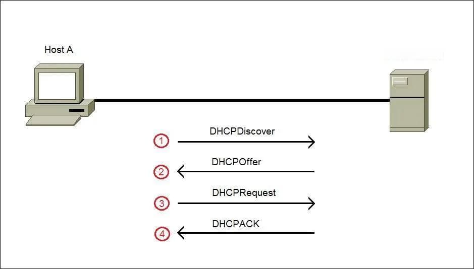 深入探讨DHCP客户端协议：实现网络自动化和IP地址分配