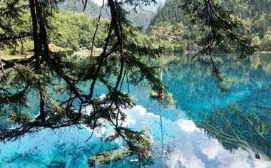 移民加拿大六种方式是什么