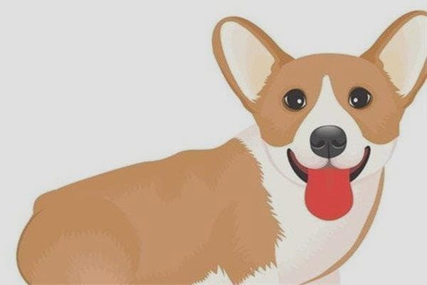 狗对应的天干及性格