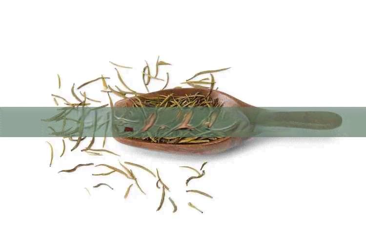 葫芦茶的外形特征与冲泡方法