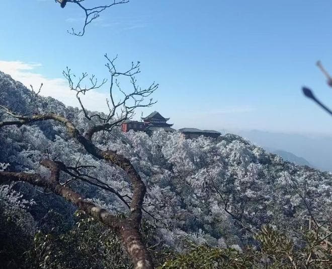 莽山一日游最佳方案：畅享自然奇景的绝佳之旅