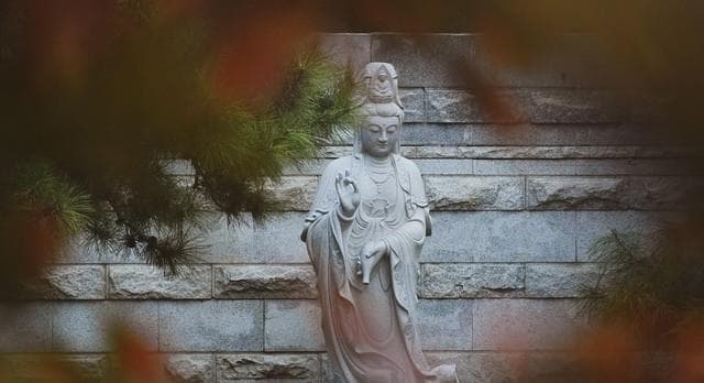 详批八字之地支六合精要详解