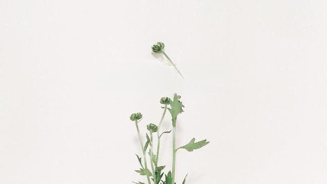 初中语文满分作文赏析：《生活需要_____》（范文4篇）