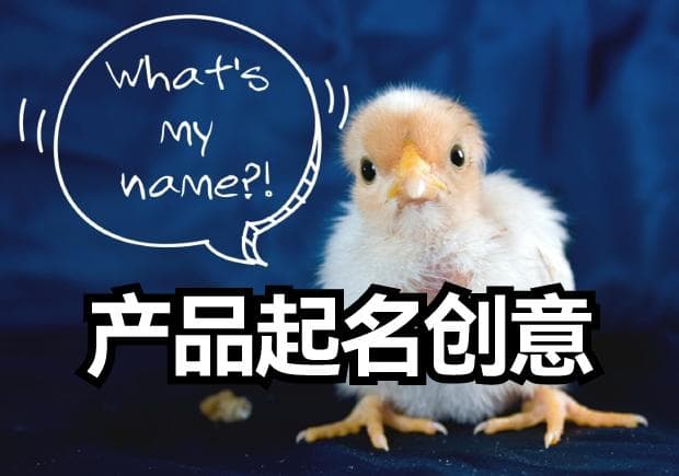 有创意的产品名字取名策略和技巧