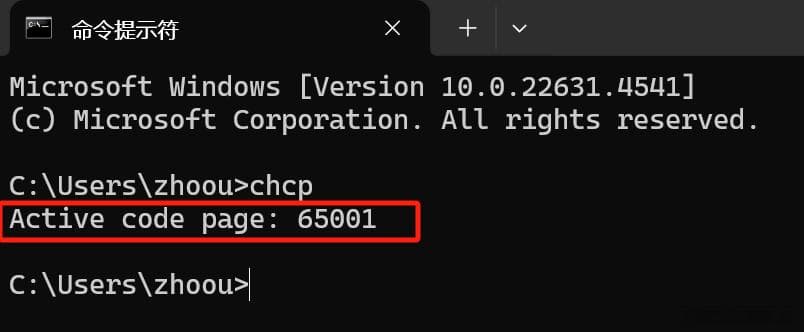 Windows 11系统下修改默认编码为UTF-8的方法