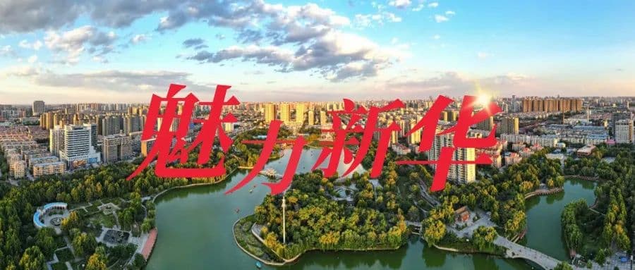 【健康科普】胡萝卜的营养价值与食用指南