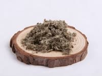 茵陈：一种常见的清热利湿中药