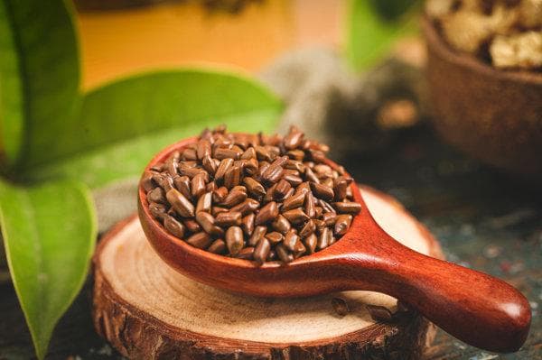 决明子和茯苓能一起喝吗