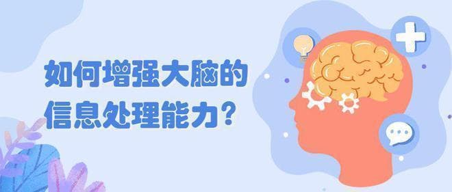 如何增强大脑的信息处理能力？