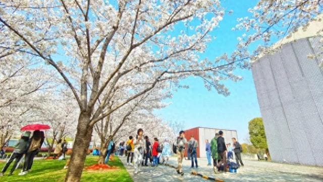 不负春光！骑行追风、徒步探春、海岸撒欢……这7条神仙路线快收藏！