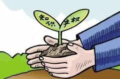 关于知识产权那些事儿，你应该了解！