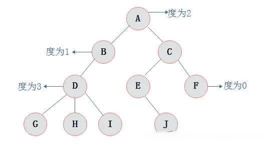 深入理解二叉树：数据结构与算法解析
