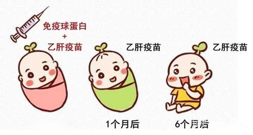 消除三病母婴传播专栏——关注肝脏健康， 了解母婴阻断，消除母婴传播