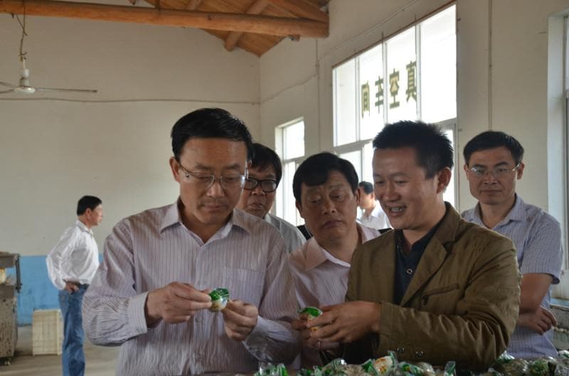 通货膨胀背景下的投资策略调整