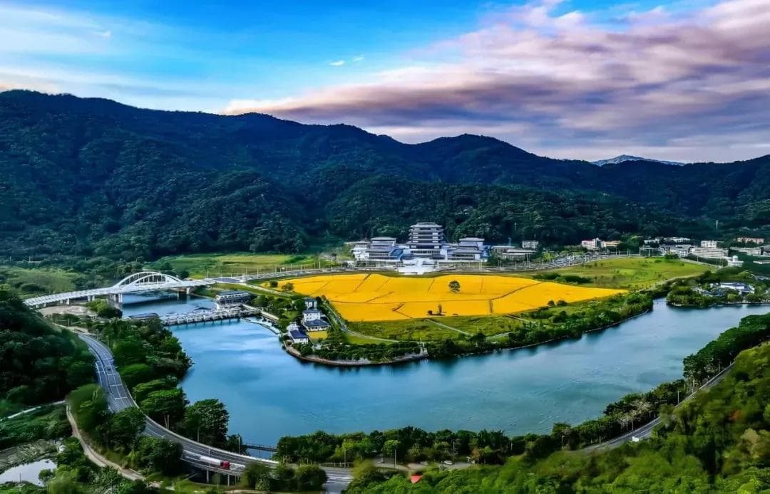 良口镇全力打造典型镇样板，共绘高质量发展新画卷