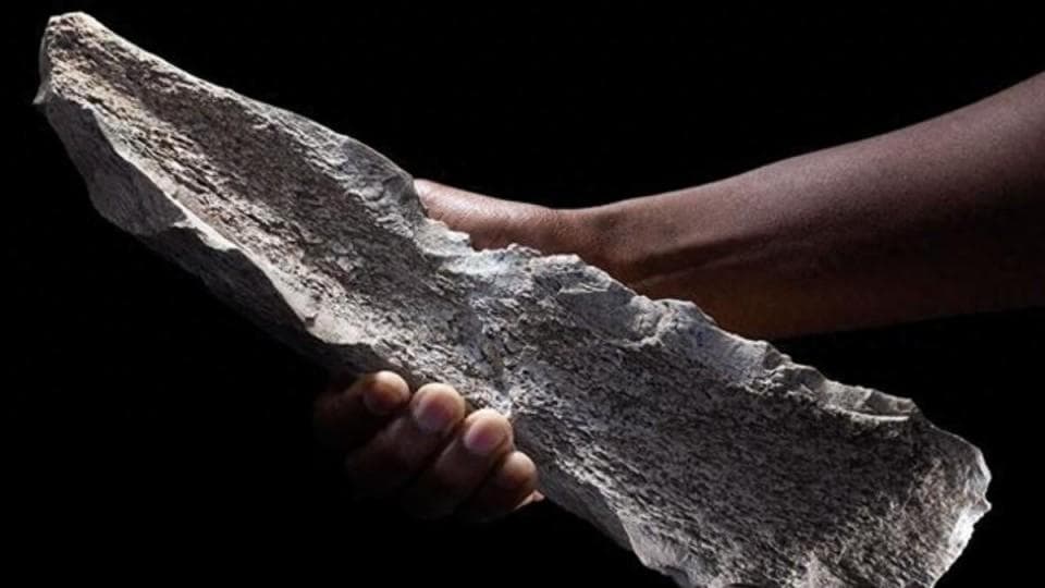 非洲150万年前的骨工具工厂暗示了早期人类的高级认知能力