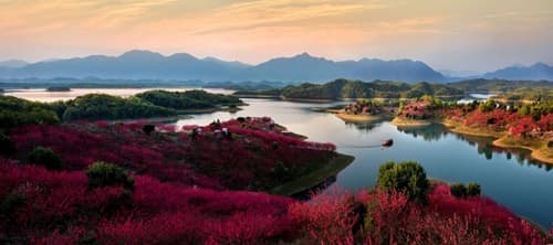 武宁县：做足“碳”文章，促进“绿”转化