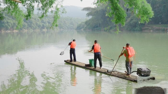 广西崇左千名河长携手守护中越边境地区河湖生态