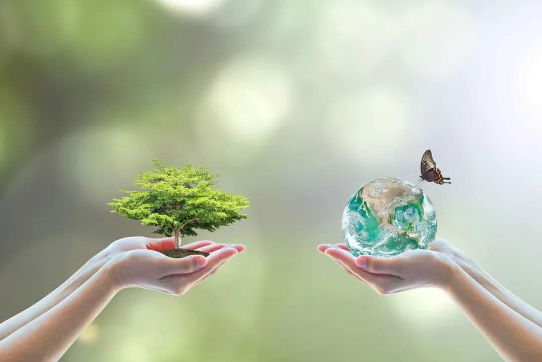 秋季养生正当时：晒太阳、喝快乐茶、练消气操