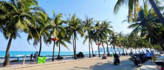 海口三亚养老大对比：气候医疗交通全方位解析