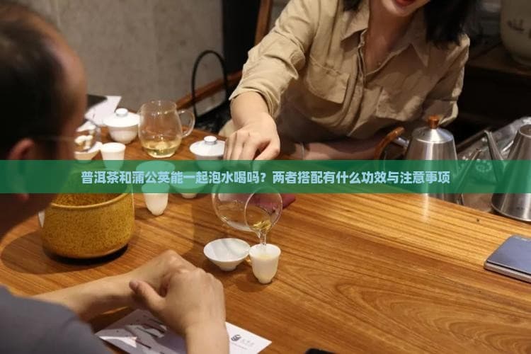 普洱茶和蒲公英能一起泡水喝吗？两者搭配有什么功效与注意事项
