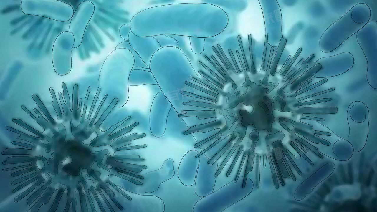 乙肝e抗体阳性是什么意思