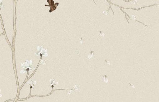貔貅与金蟾的区别及其特点分析：两种传统吉祥物的招财之道