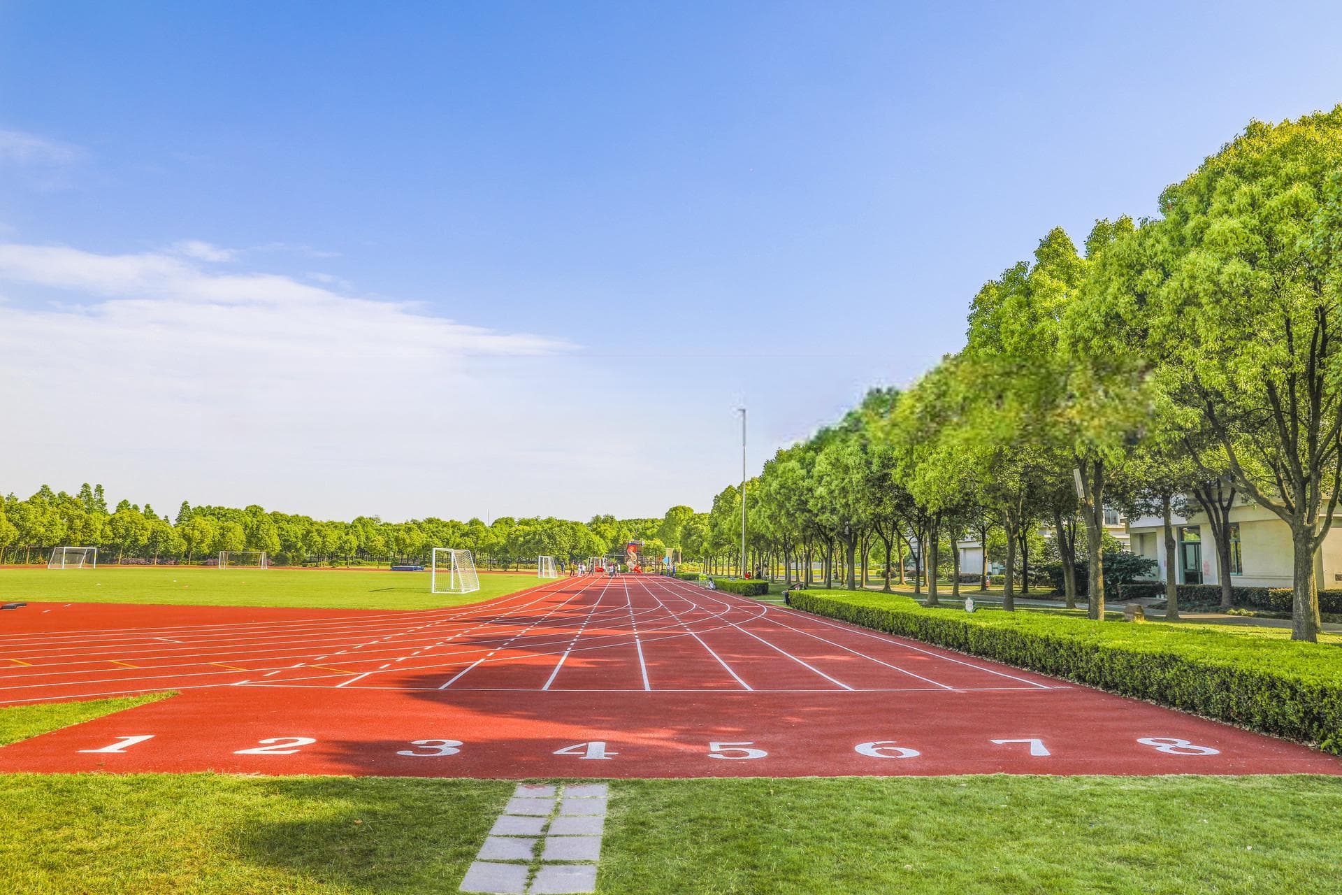 2024西南政法大学(中外合作)录取分数线，重庆录取最低分576