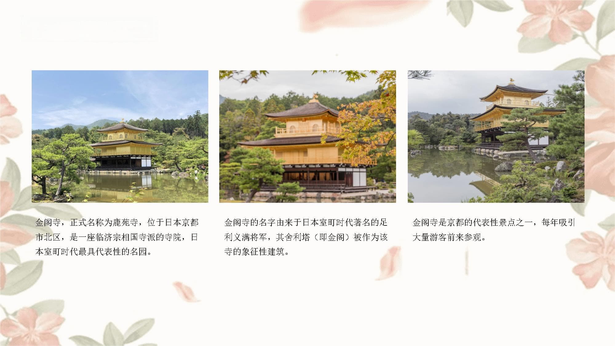 日本京都金阁寺禅意与自然的完美结合
