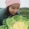自制豌豆纳豆：黄豆过敏者的营养选择
