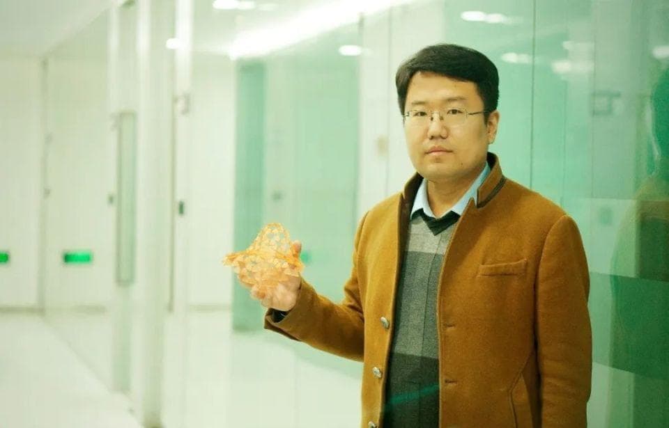 微型变形机器人问世：100毫秒内实现40%面积伸缩和定向运动