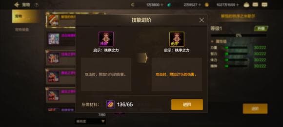 奥兹玛宠物购买指南：技能提升与继承机制详解