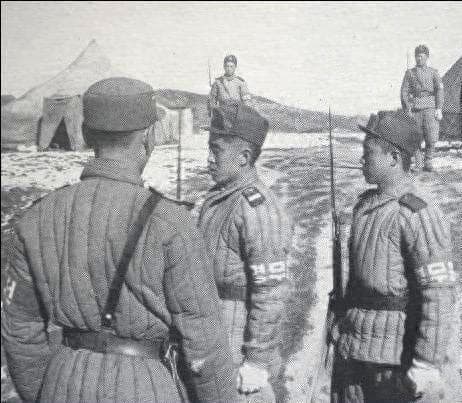 1950年，当志愿军进入朝鲜拯救危机时，朝鲜人民军还剩下多少？
