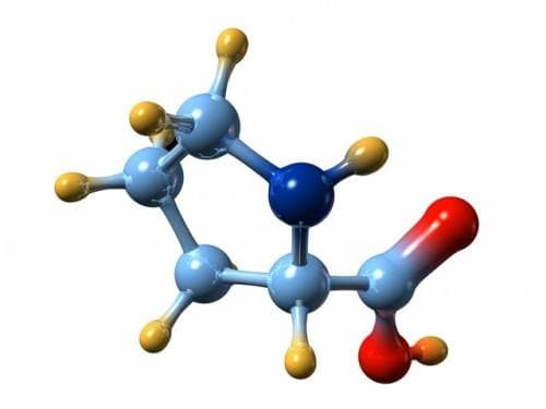肉类蛋白质含量与营养价值全解析