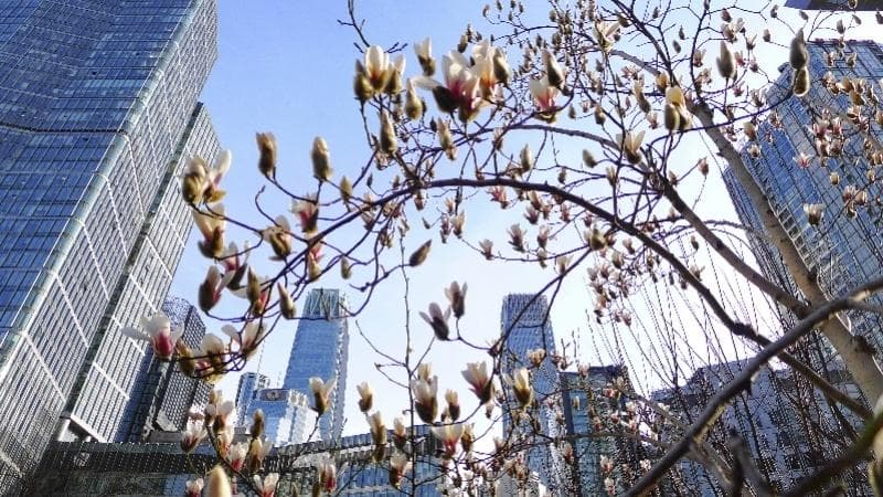 北京学区房还扛得住吗？实探二手房：价格仍处高位政策已退热