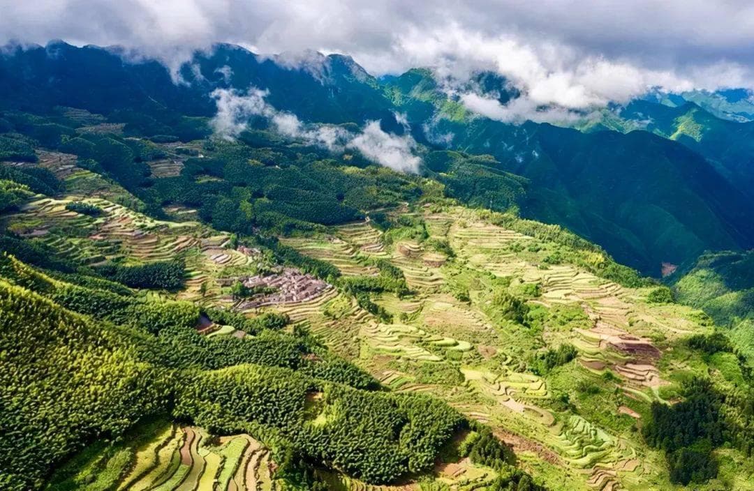这个小城，有浙江最完整的森林景观，有最美的梯田云海，古寨廊桥……