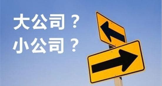 大公司还是小公司：如何做出选择？