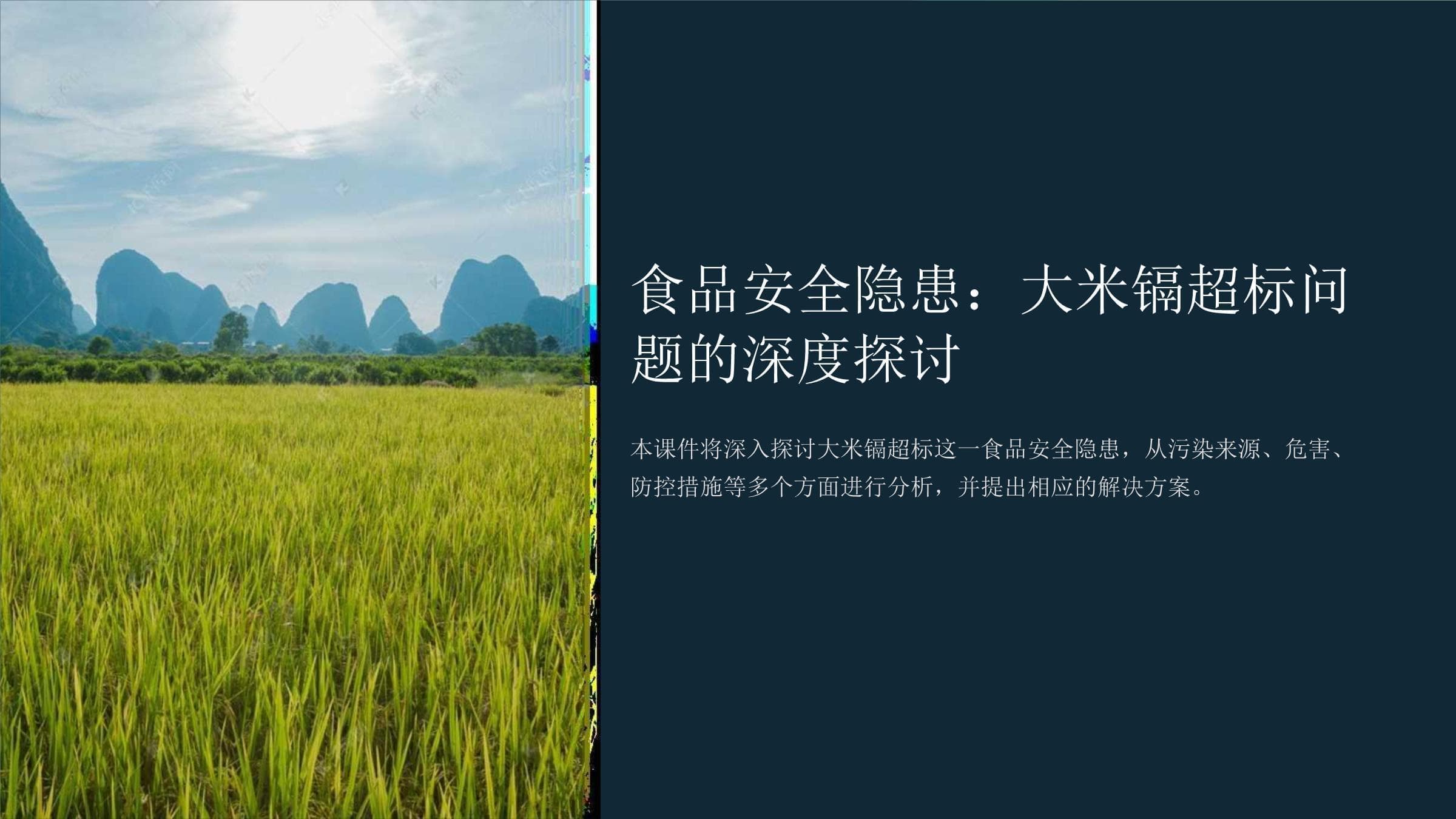 《食品安全隐患：大米镉超标问题的深度探讨》