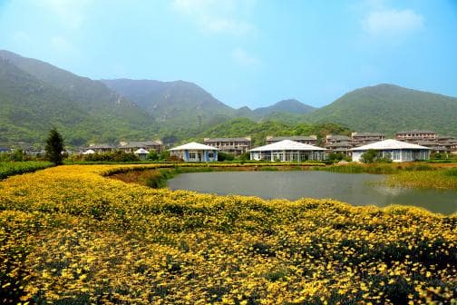 桃花岛：舟山群岛上的“世外桃源”