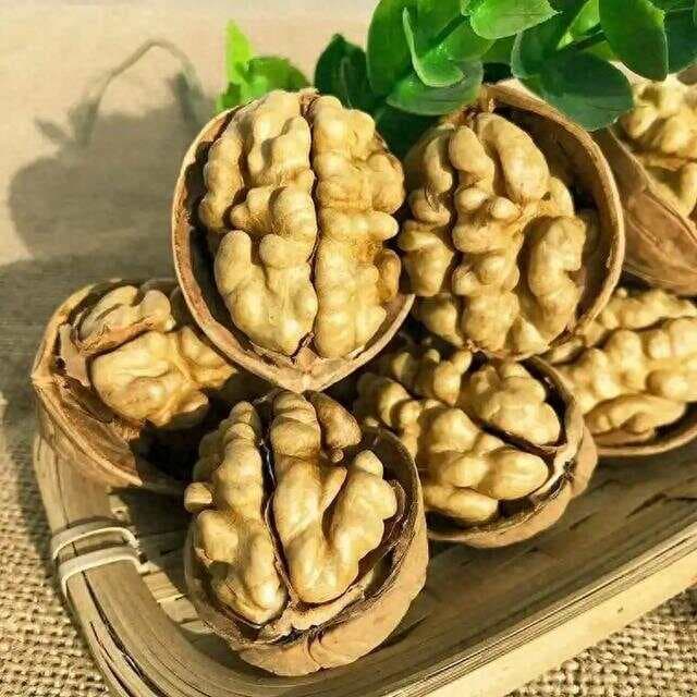 吃核桃，能养生？研究发现：核桃让血管更健康，吃多少合适呢？
