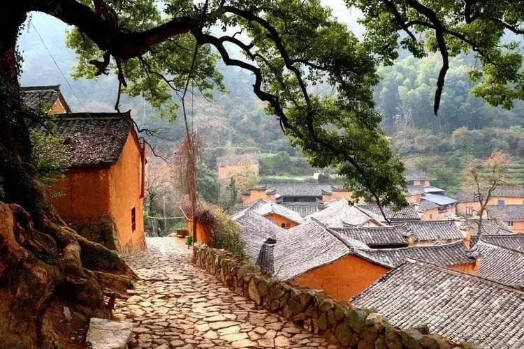 被誉为“最后的江南秘境”，浙江松阳县藏不住了