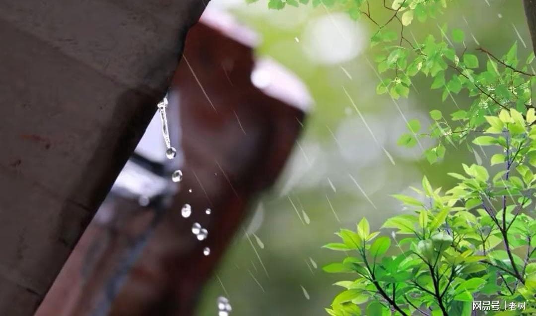 贺铸的《石州慢·薄雨收寒》写出了两地相思之苦的温柔呐喊