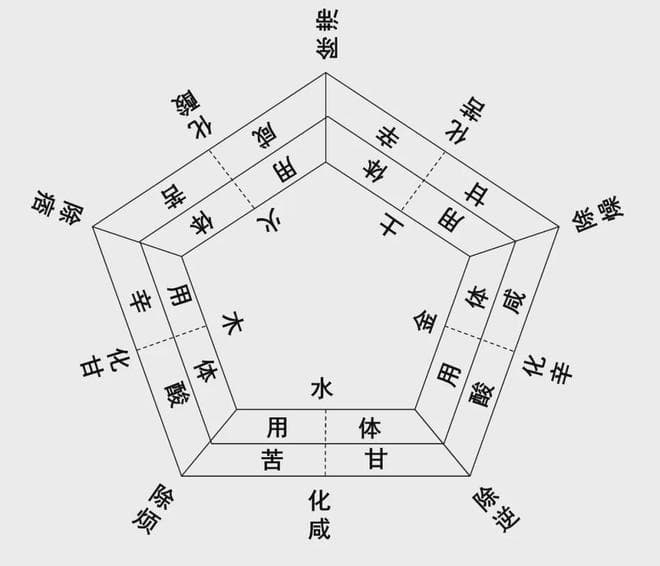 《汤液经法图讲记2》第六讲：咸温的旋覆花，正是五行属火的代表中药