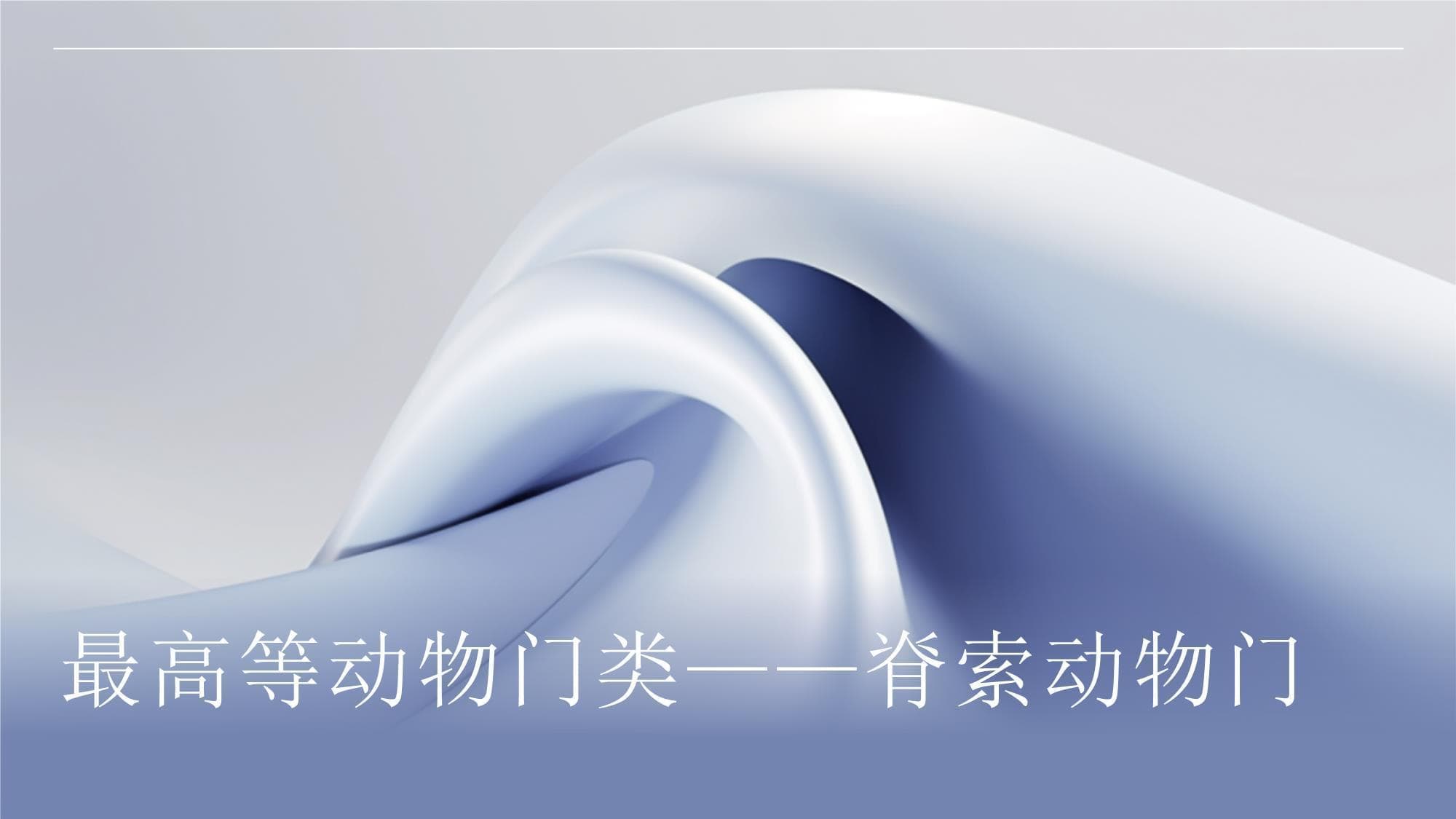 最高等动物门类-脊索动物门