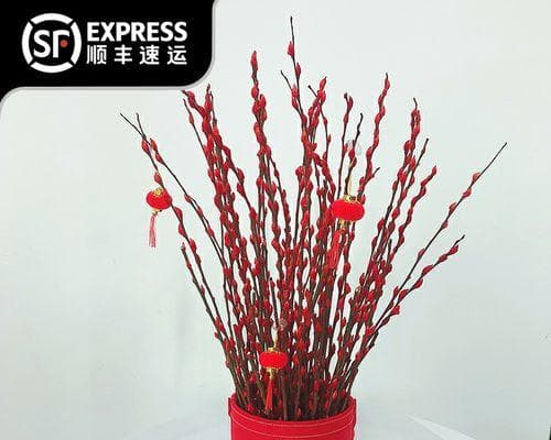 传统文化中的银柳：富贵吉祥与文化传承的象征