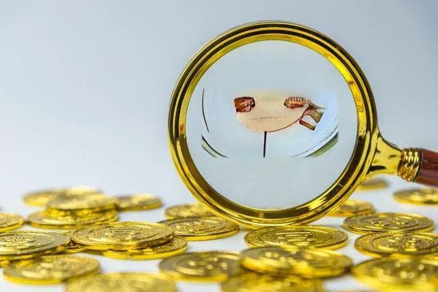 灵活就业人员养老保险缴费：60%档次还是100%档次？